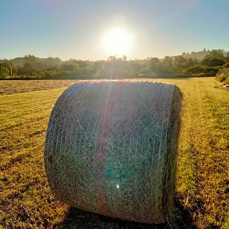 Anticopodere 아파트 Casorzo