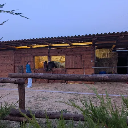 Anticopodere 아파트 *