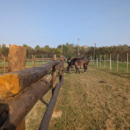 Lägenhet Anticopodere