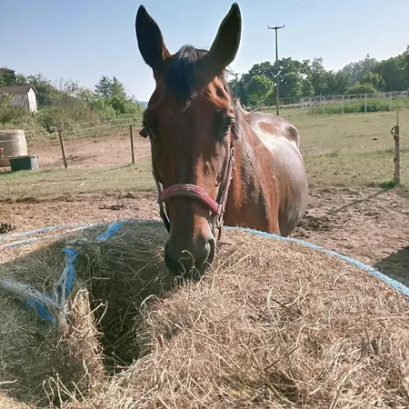 Anticopodere Lägenhet