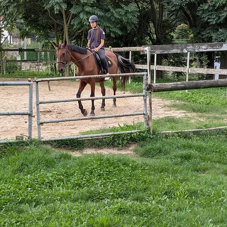 아파트 Anticopodere