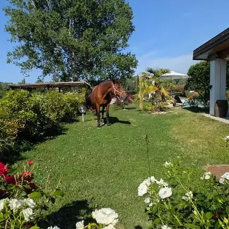 Casale Del Miglio Apartman *