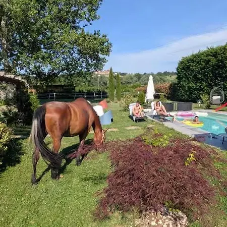 Casale Del Miglio