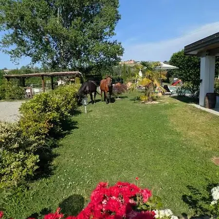 Casale Del Miglio