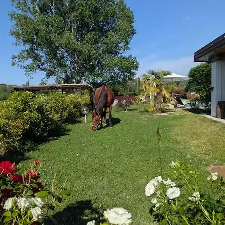Apartman Casale Del Miglio *