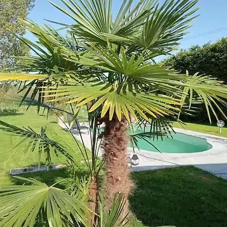 Apartman Casale Del Miglio *
